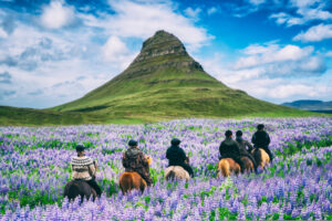 טיול רכייבה על סוסים הר קירקג'ופל בחוף הצפוני של איסלנד